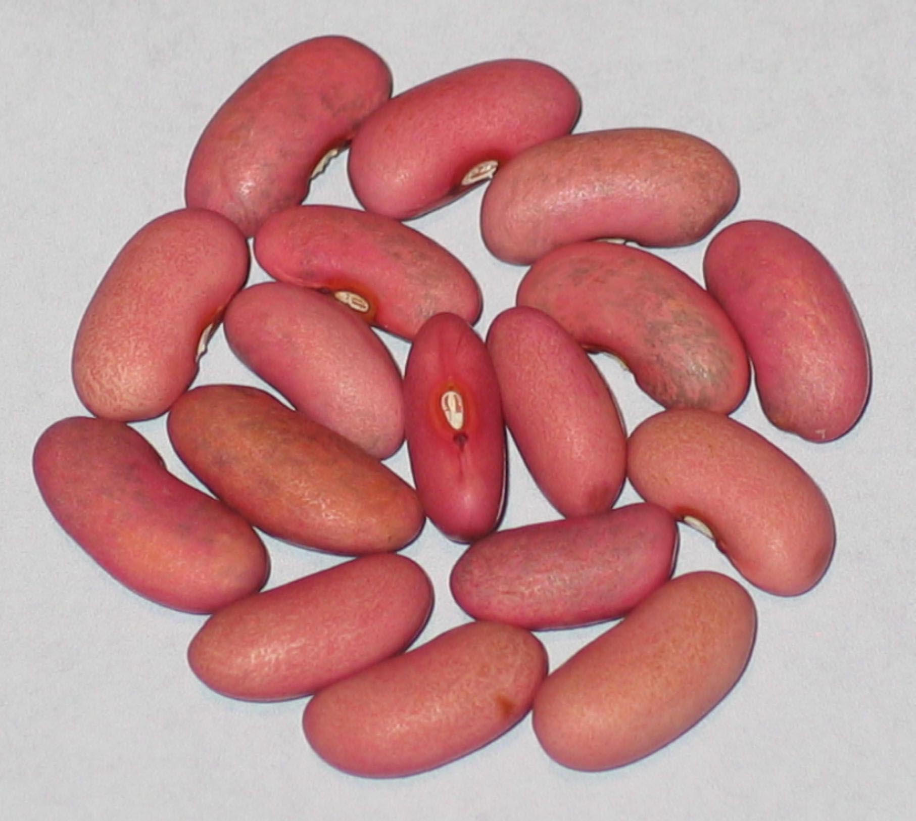 image of Pink Emperor beans