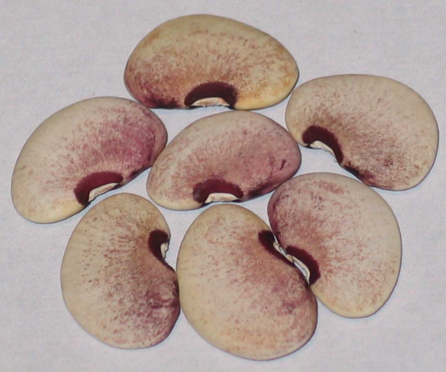 image of Romance beans