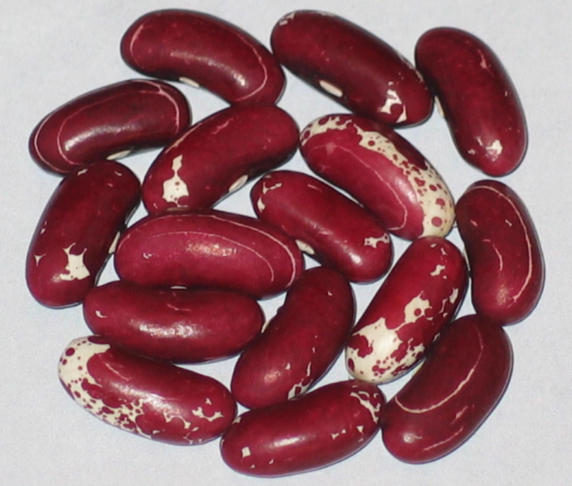 image of Stars And Stripes beans