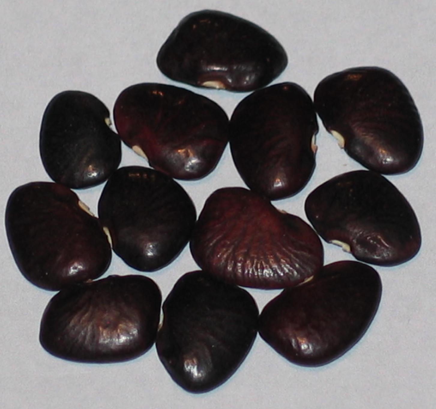image of Alma s PA beans