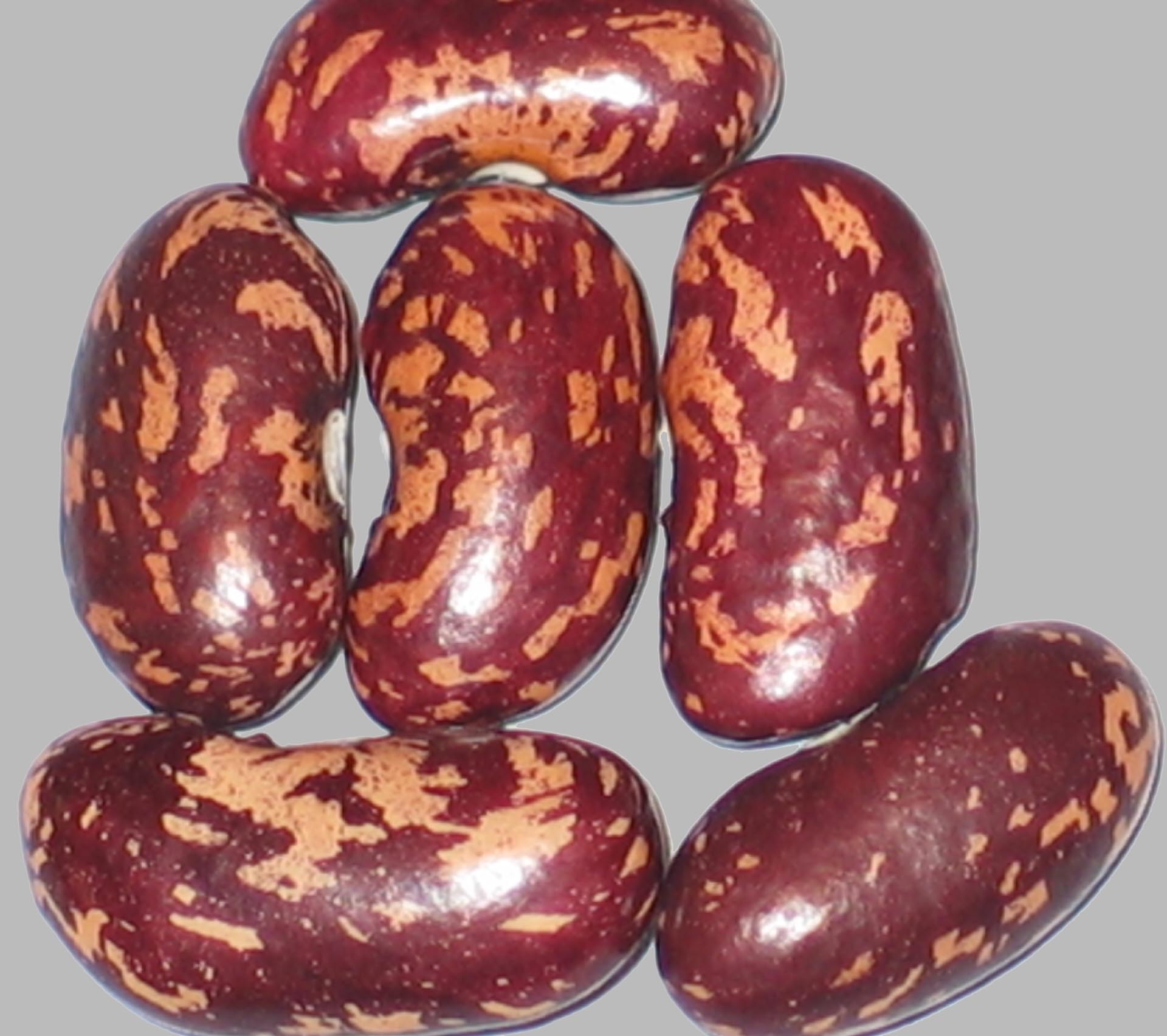 image of Anakin Kuvali Giant beans
