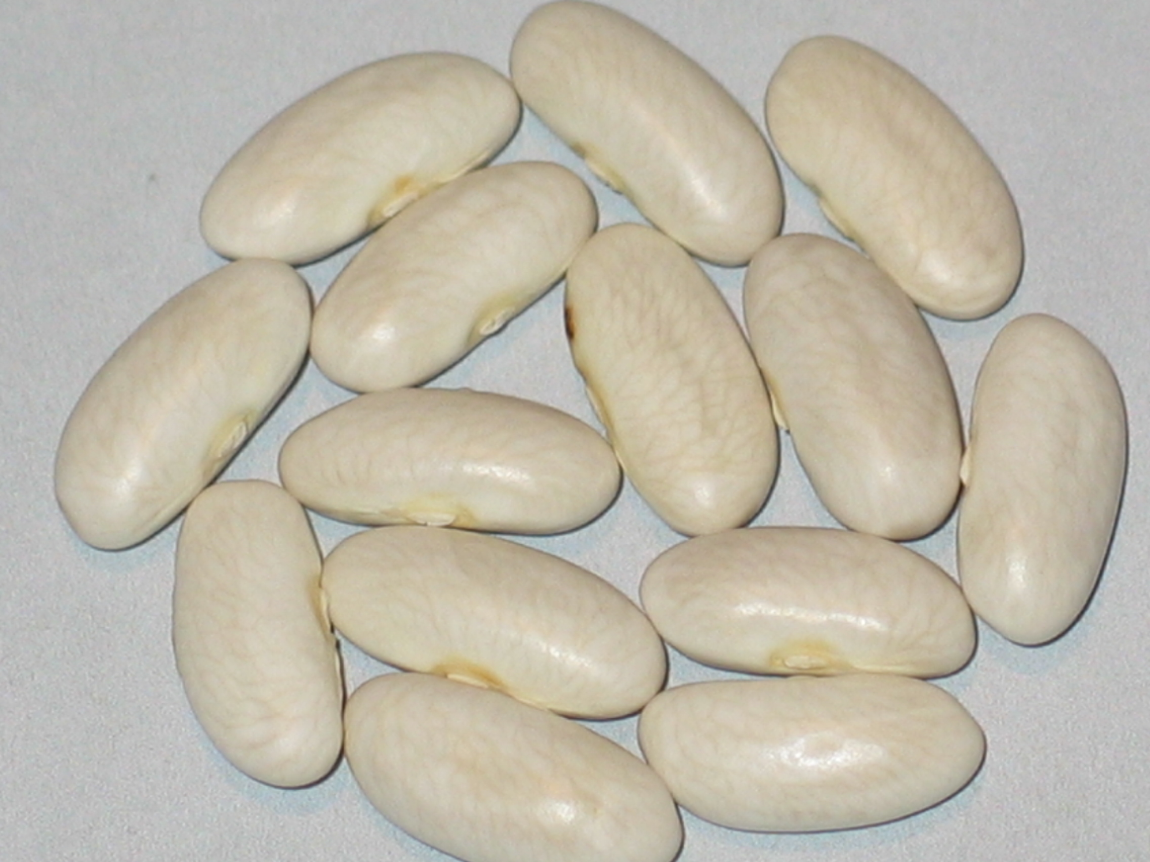 image of Dead Man s Tooth beans