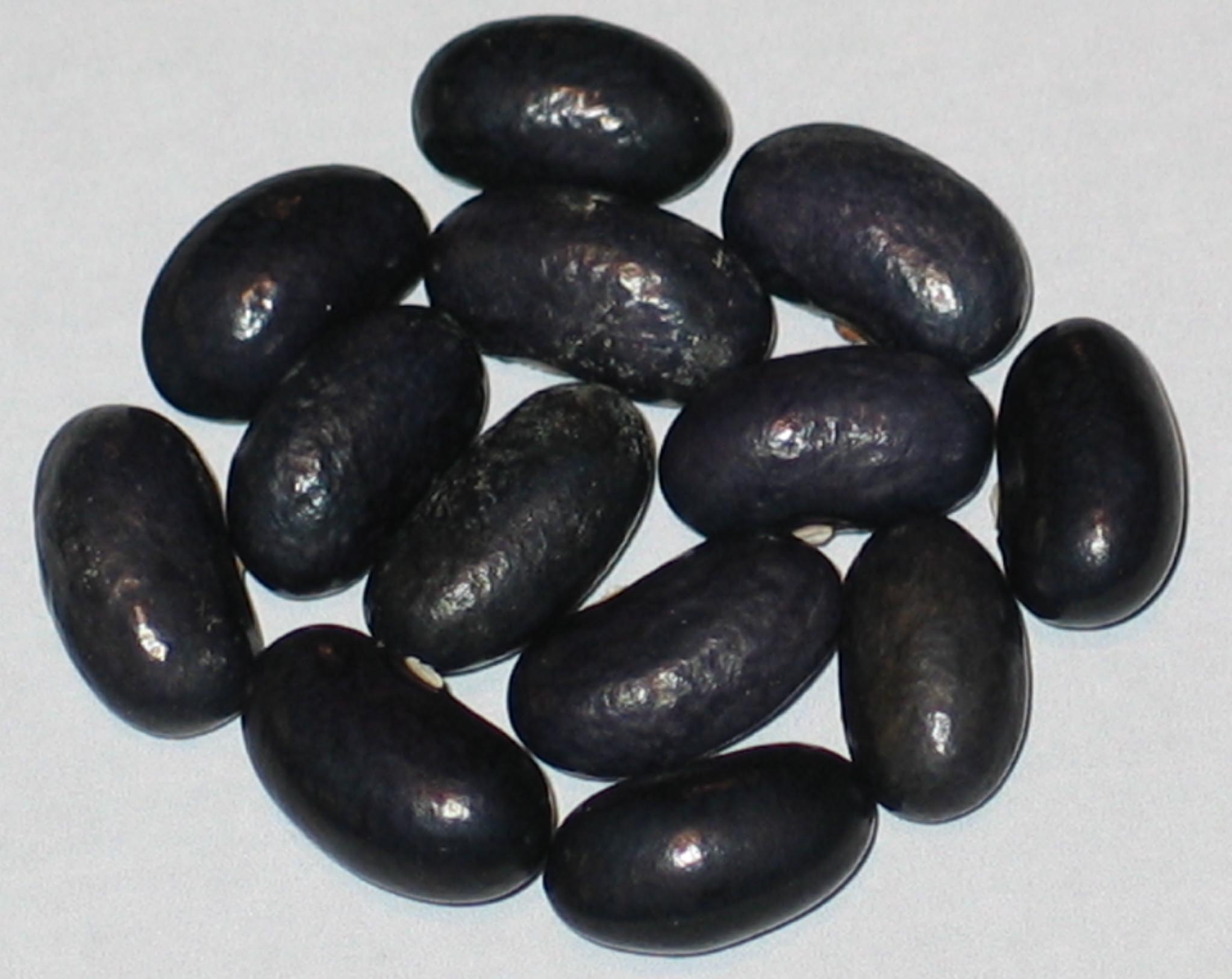 image of Grandma Gina s beans