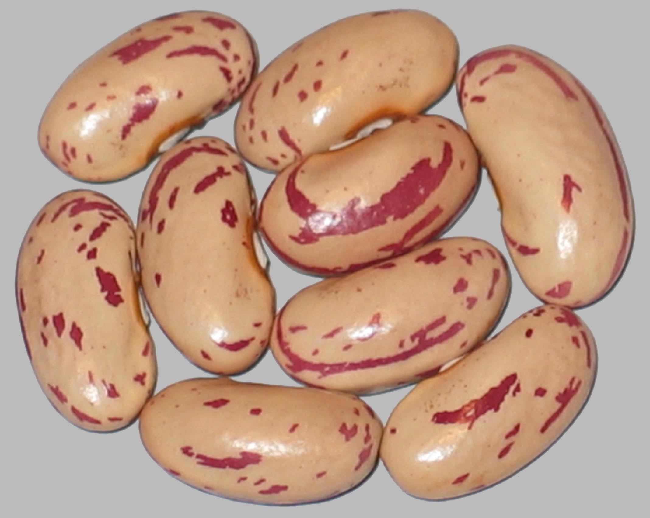 image of Irene s Russian beans