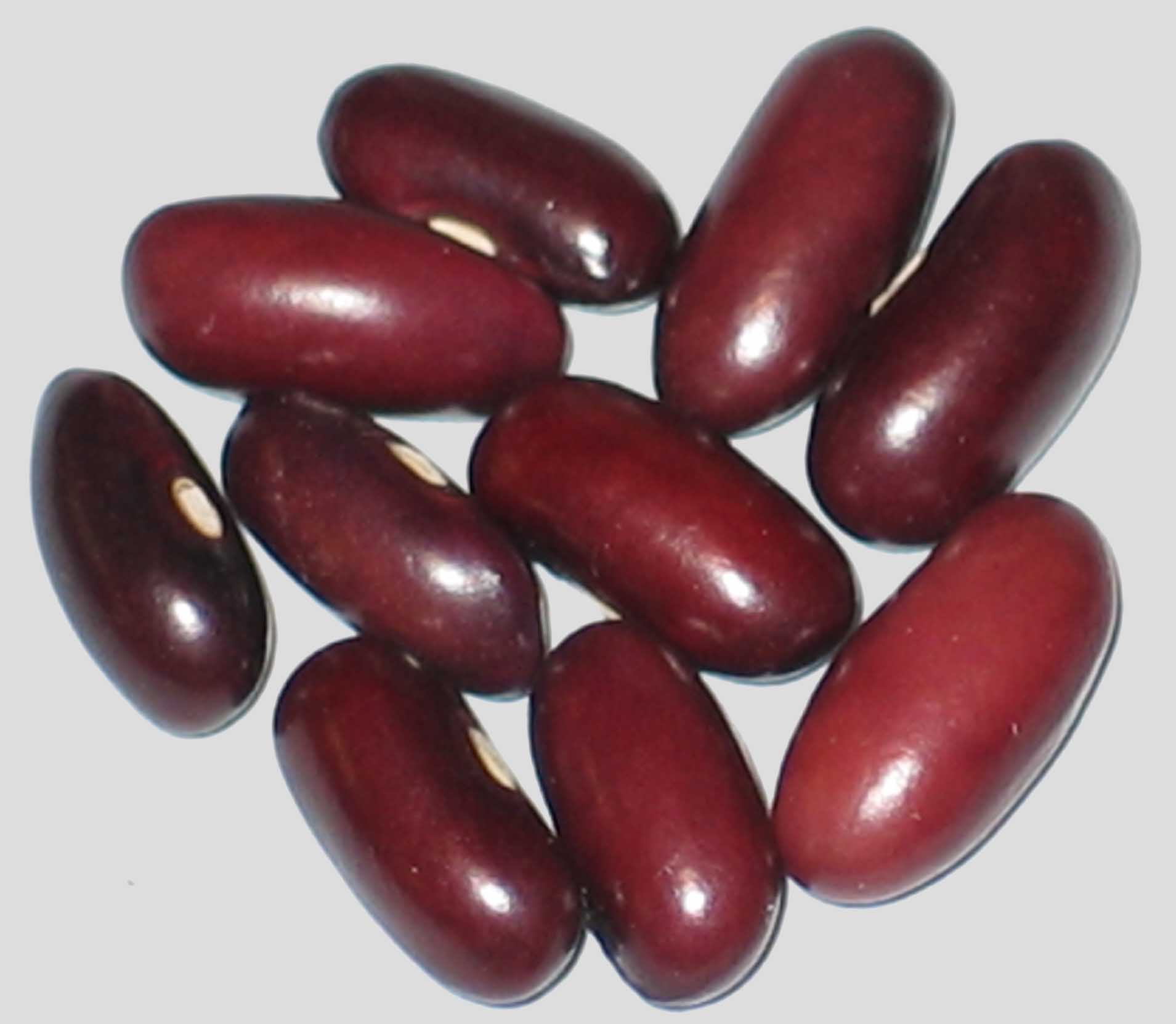 image of John s Best beans