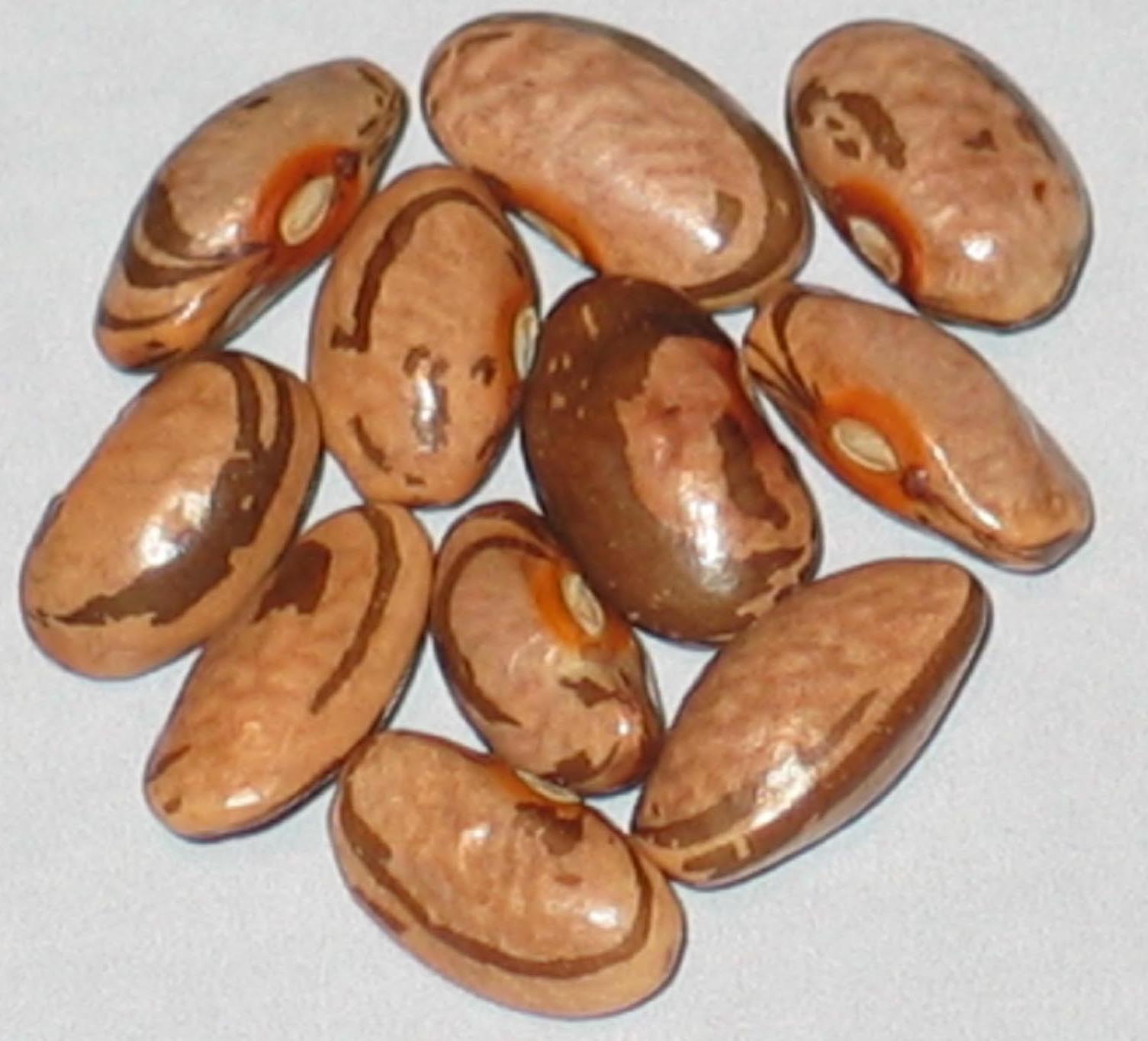 image of Kermit s Smoky Mountain beans