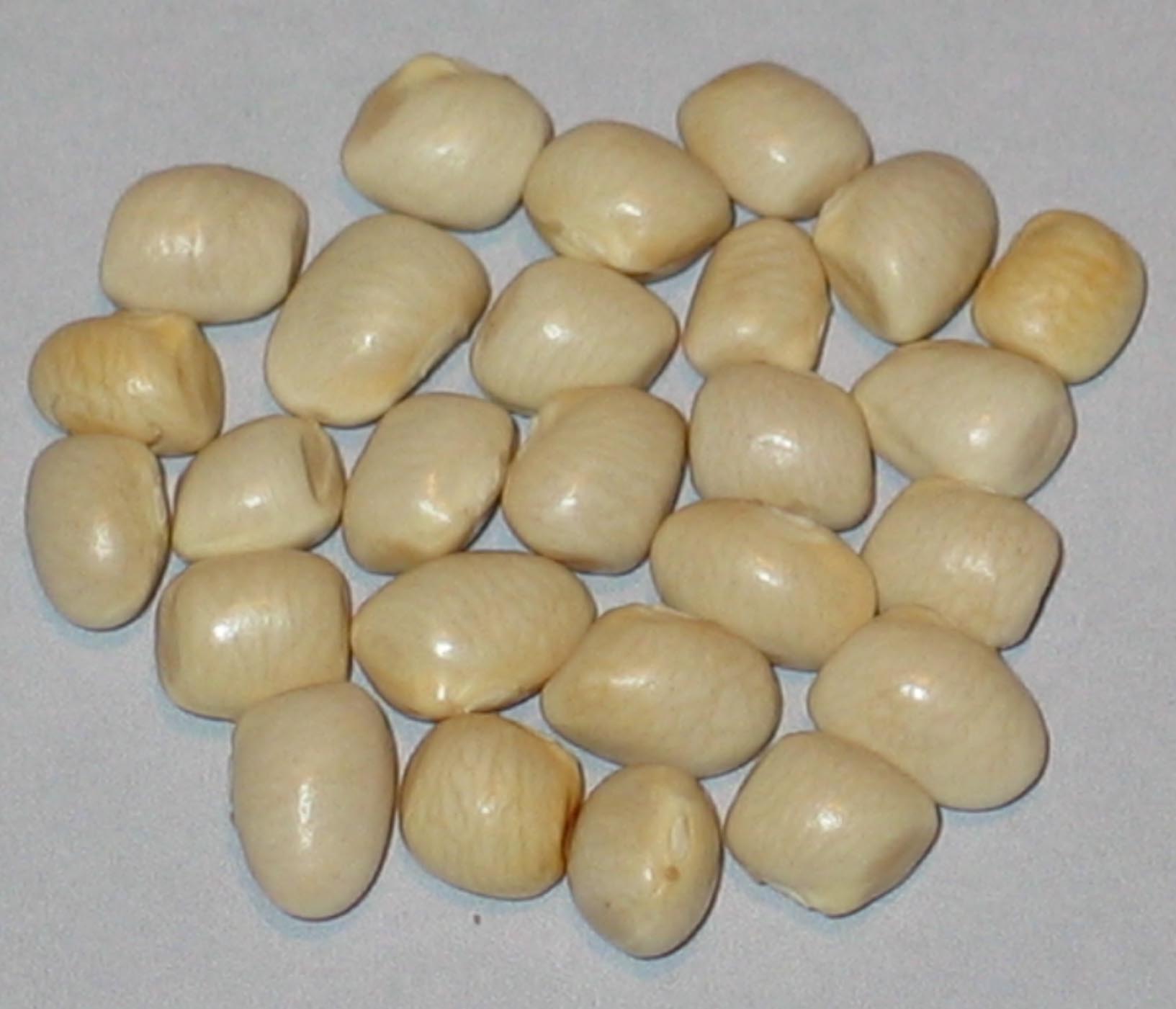 image of Luther s Family Greasy Cornfield beans