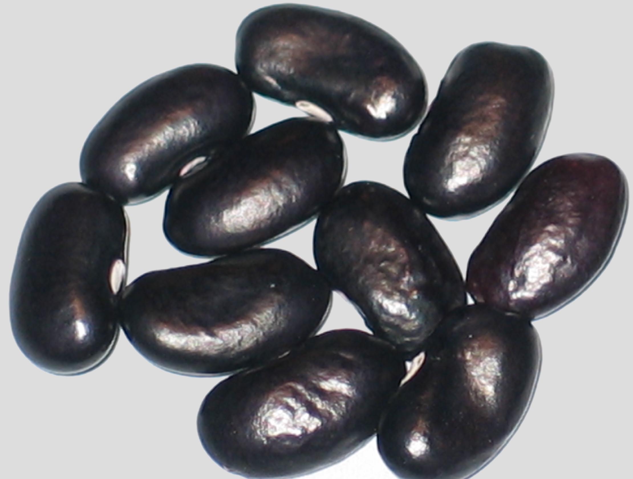 image of Onyx beans