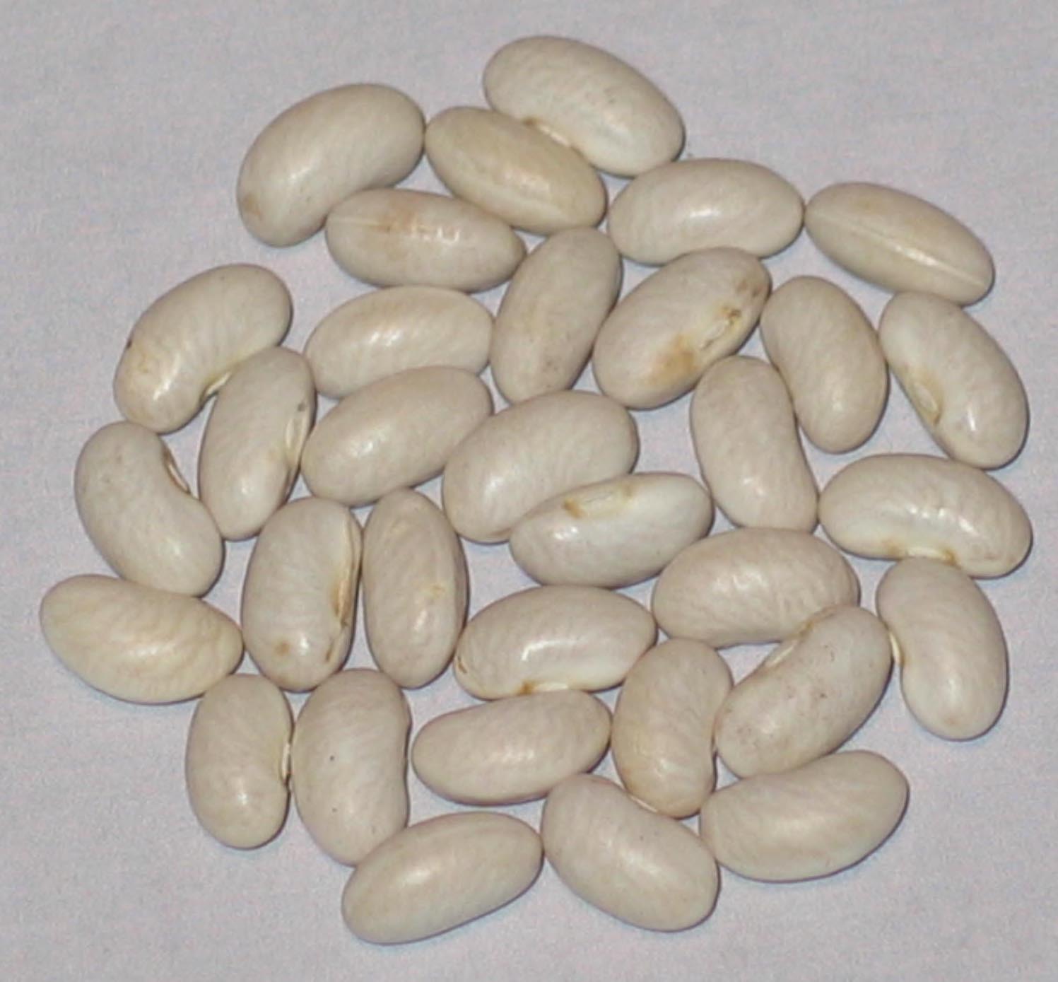 image of Parker's Half Runner beans