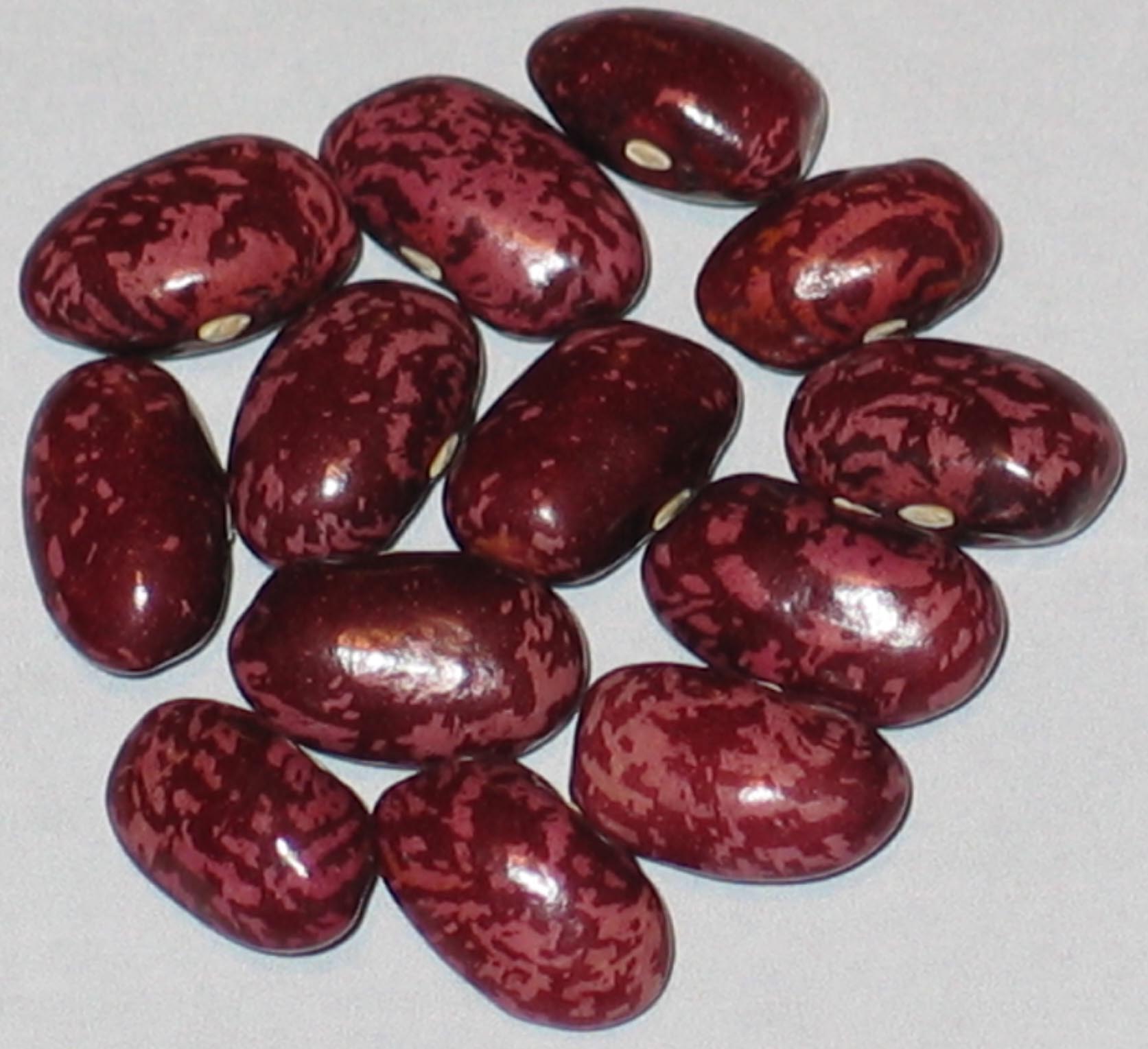 image of Rising Fawn beans